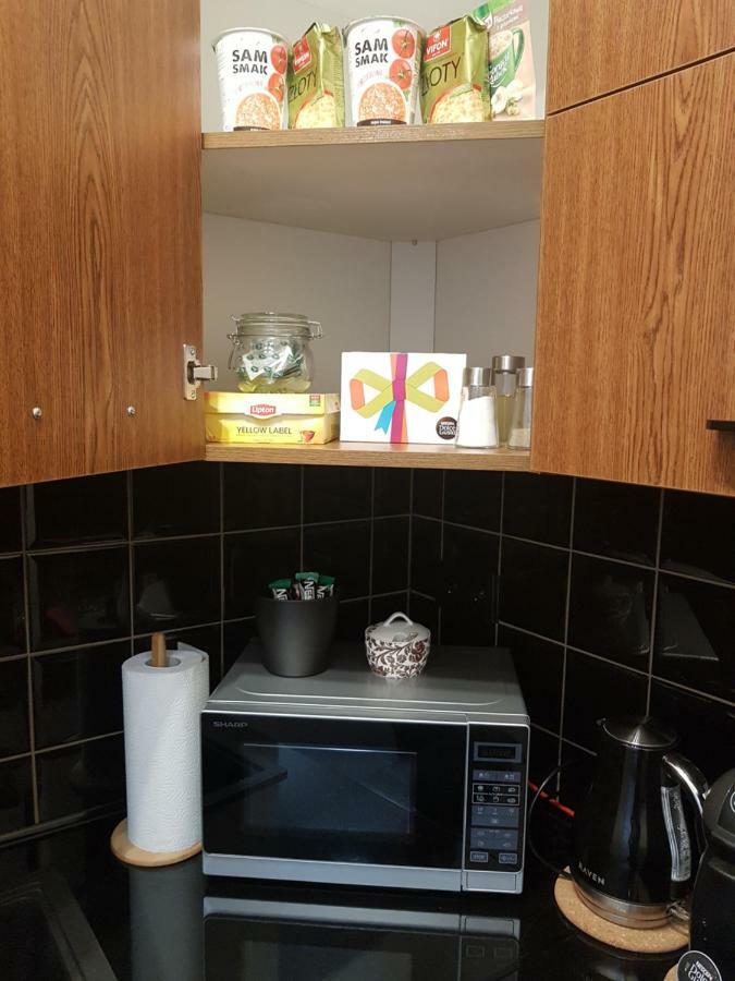 Red Rose Apartament -Parking -Taras- Faktura Vat 凯尔采 外观 照片